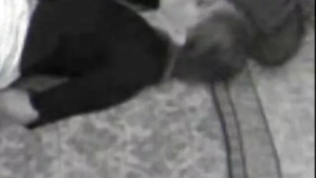 ティファニーチャーム痴女後緊縛 セックス 動画 女