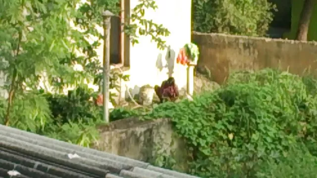 彼は大きな体を持つ雌犬を持っているたびに行方不明の人々 女 同士 の セックス 無料 動画